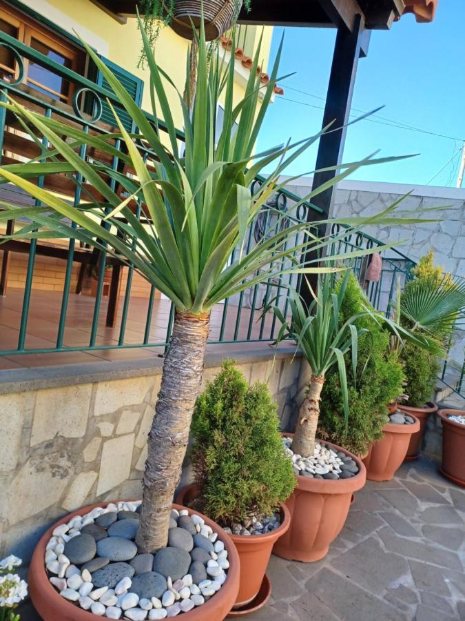 הוילה פונשל House Near Cr7 Museum מראה חיצוני תמונה